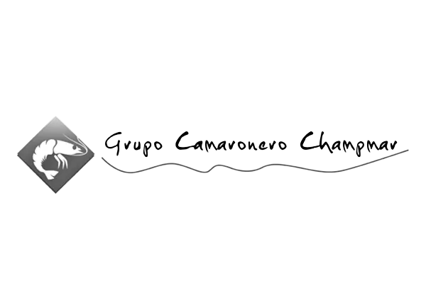 Grupo Camaronero Champmar